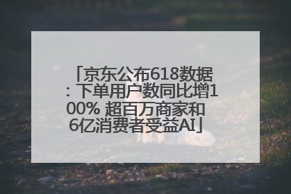 京东公布618数据：下单用户数同比增100% 超百万商家和6亿消费者受益AI