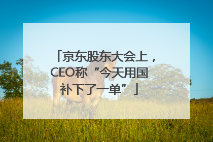京东股东大会上，CEO称“今天用国补下了一单”