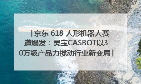 京东 618 人形机器人赛道爆发：灵宝CASBOT以30万级产品力搅动行业新变局