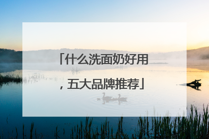 什么洗面奶好用，五大品牌推荐