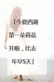 今夏西湖第一朵荷花开啦，比去年早5天