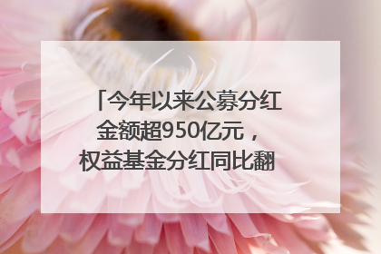今年以来公募分红金额超950亿元，权益基金分红同比翻倍｜招财猫