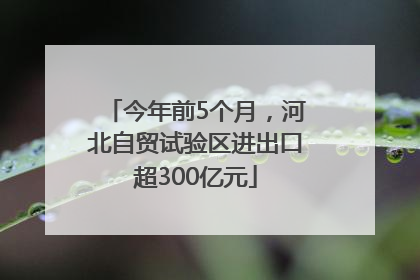 今年前5个月，河北自贸试验区进出口超300亿元