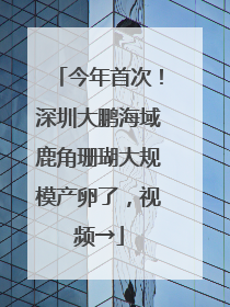 今年首次！深圳大鹏海域鹿角珊瑚大规模产卵了，视频→