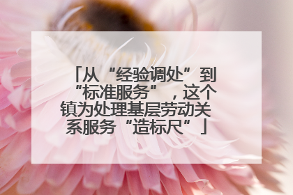 从“经验调处”到“标准服务”，这个镇为处理基层劳动关系服务“造标尺”