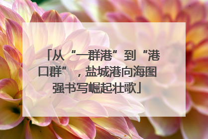 从“一群港”到“港口群”，盐城港向海图强书写崛起壮歌