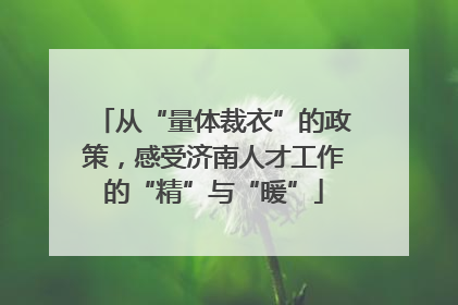 从“量体裁衣”的政策，感受济南人才工作的“精”与“暖”