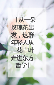 从一朵玫瑰花出发，这群年轻人从一花一叶走进东方哲学