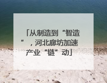 从制造到“智造”，河北廊坊加速产业“链”动