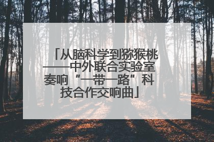 从脑科学到猕猴桃——中外联合实验室奏响“一带一路”科技合作交响曲