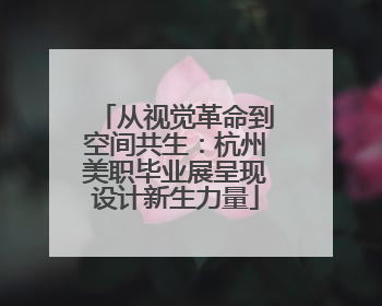 从视觉革命到空间共生：杭州美职毕业展呈现设计新生力量