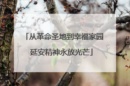 从革命圣地到幸福家园 延安精神永放光芒