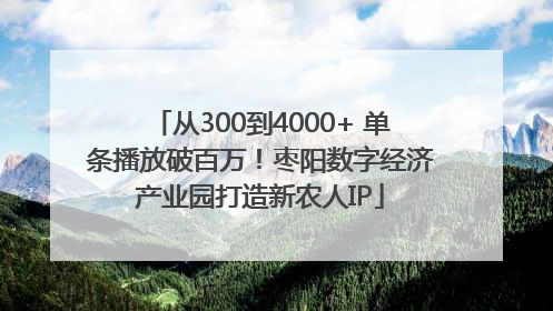 从300到4000+ 单条播放破百万！枣阳数字经济产业园打造新农人IP