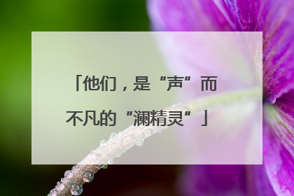 他们，是“声”而不凡的“澜精灵”
