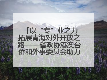 以“专”业之力 拓展青海对外开放之路——省政协港澳台侨和外事委员会助力我省高水平开放和高质量发展