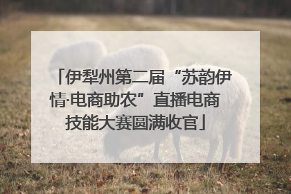 伊犁州第二届“苏韵伊情·电商助农”直播电商技能大赛圆满收官