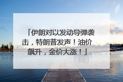 伊朗对以发动导弹袭击，特朗普发声！油价飙升，金价大涨！