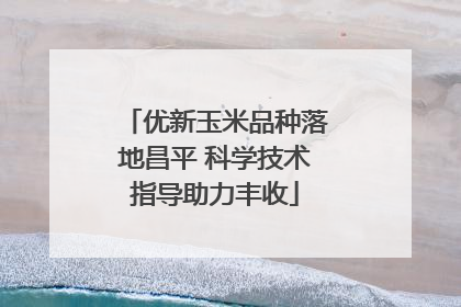 优新玉米品种落地昌平 科学技术指导助力丰收