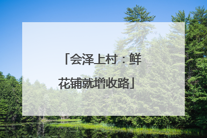 会泽上村：鲜花铺就增收路