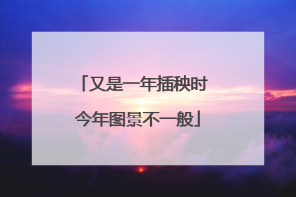 又是一年插秧时 今年图景不一般