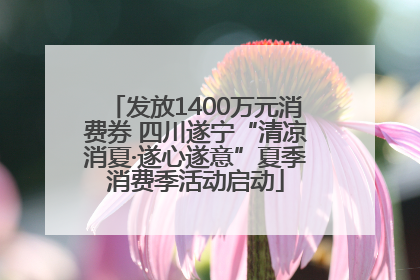发放1400万元消费券 四川遂宁“清凉消夏·遂心遂意”夏季消费季活动启动