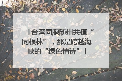 台湾同胞随州共植“同根林”，那是跨越海峡的“绿色情诗”
