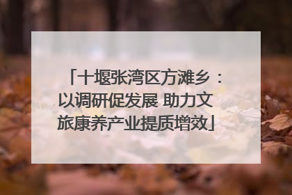 十堰张湾区方滩乡：以调研促发展 助力文旅康养产业提质增效