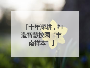 十年深耕，打造智慧校园“丰南样本”