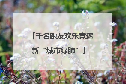 千名跑友欢乐竞逐新“城市绿肺”