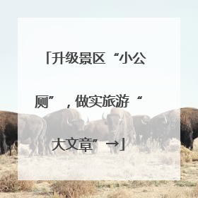 升级景区“小公厕”，做实旅游“大文章”→