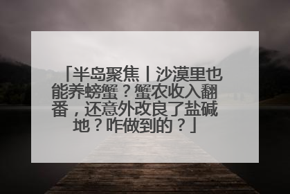 半岛聚焦丨沙漠里也能养螃蟹？蟹农收入翻番，还意外改良了盐碱地？咋做到的？
