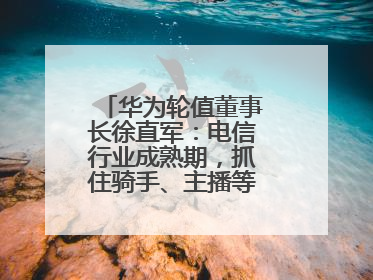 华为轮值董事长徐直军：电信行业成熟期，抓住骑手、主播等成长型需求