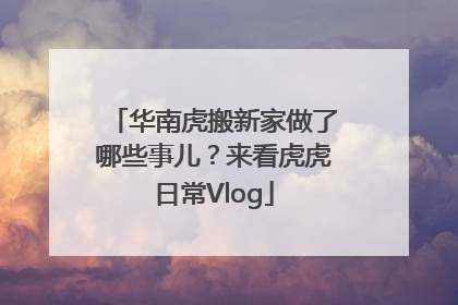 华南虎搬新家做了哪些事儿？来看虎虎日常Vlog
