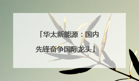华太新能源：国内先锋奋争国际龙头