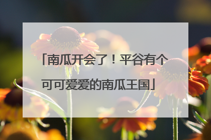 南瓜开会了！平谷有个可可爱爱的南瓜王国