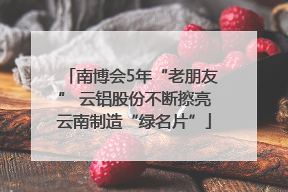 南博会5年“老朋友” 云铝股份不断擦亮云南制造“绿名片”