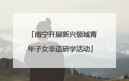 南宁开展新兴领域青年子女非遗研学活动