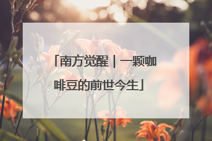 南方觉醒｜一颗咖啡豆的前世今生