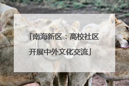 南海新区：高校社区开展中外文化交流