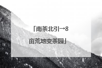 南茶北引→8亩荒地变茶园