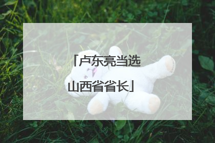 卢东亮当选山西省省长
