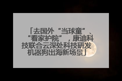 去国外“当球童”、“看家护院”，康迪科技联合云深处科技研发机器狗出海新场景