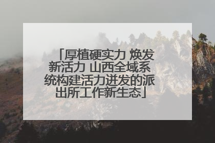 厚植硬实力 焕发新活力 山西全域系统构建活力迸发的派出所工作新生态