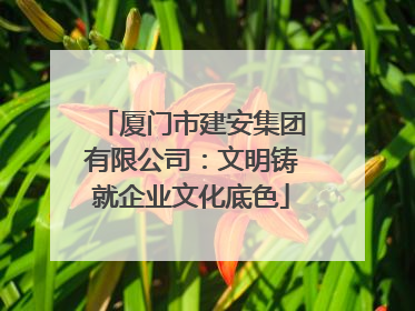 厦门市建安集团有限公司：文明铸就企业文化底色