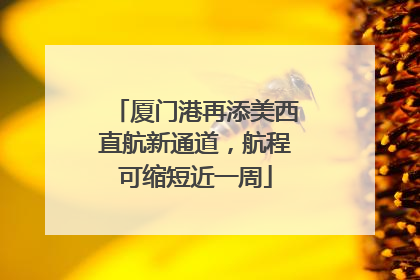 厦门港再添美西直航新通道，航程可缩短近一周