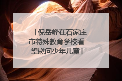 倪岳峰在石家庄市特殊教育学校看望慰问少年儿童