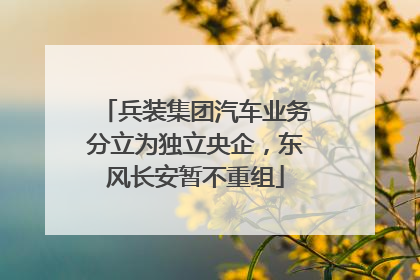 兵装集团汽车业务分立为独立央企，东风长安暂不重组