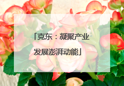 克东：凝聚产业发展澎湃动能