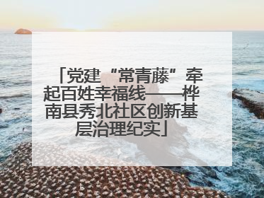 党建“常青藤”牵起百姓幸福线——桦南县秀北社区创新基层治理纪实