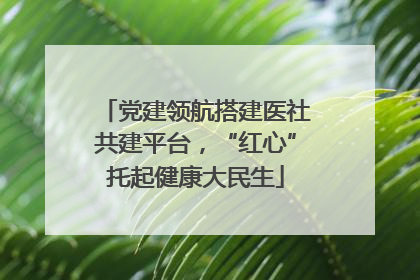 党建领航搭建医社共建平台，“红心”托起健康大民生